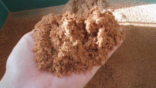 おがくず　写真